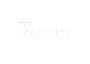 Programmazione televisiva di Focus